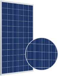 Trina Solar 310W (Used)
